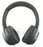Sony WH-XB700 Bluetooth 4.2 Black Over Ear Rotating Cup Headphones Heavy Bass